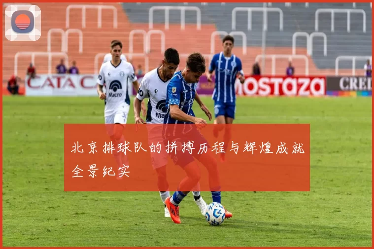 北京排球队的拼搏历程与辉煌成就全景纪实
