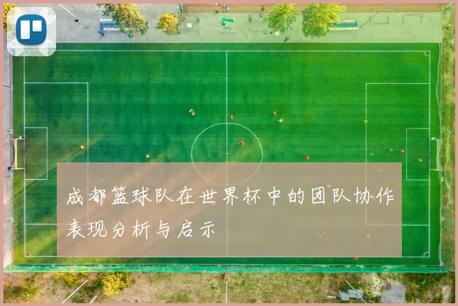 成都篮球队在世界杯中的团队协作表现分析与启示