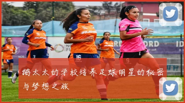 鹅太太的学校培养足球明星的秘密与梦想之旅