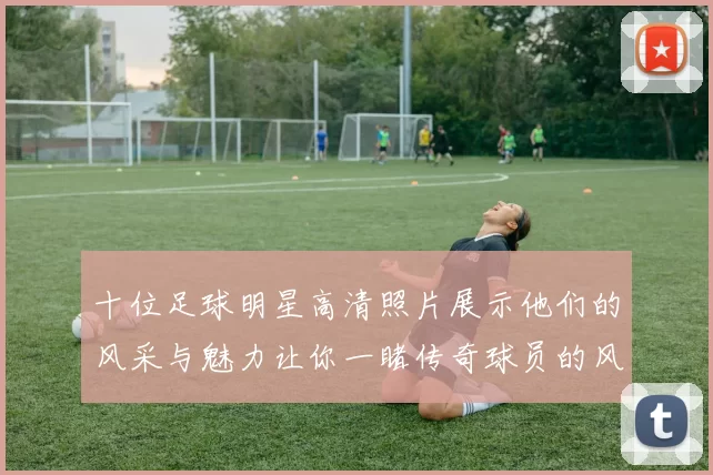 十位足球明星高清照片展示他们的风采与魅力让你一睹传奇球员的风采