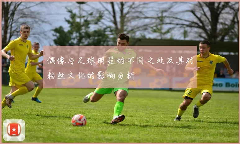偶像与足球明星的不同之处及其对粉丝文化的影响分析