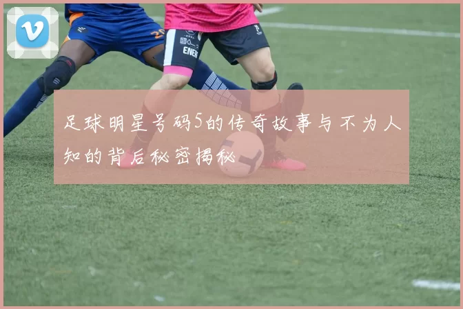 足球明星号码5的传奇故事与不为人知的背后秘密揭秘