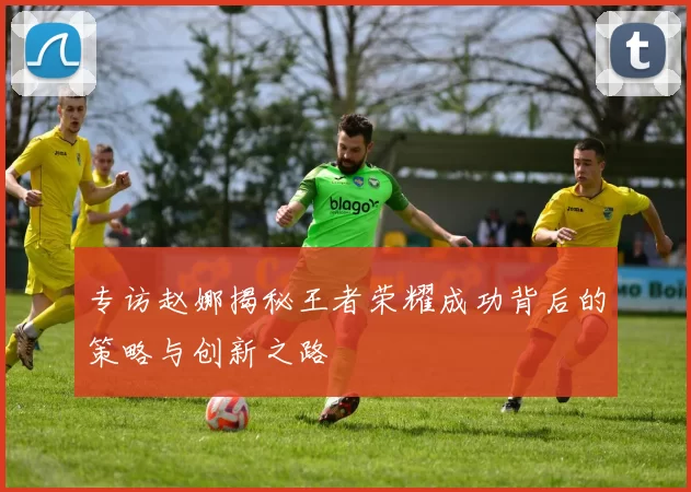 专访赵娜揭秘王者荣耀成功背后的策略与创新之路