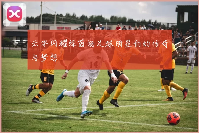 云字闪耀绿茵场足球明星们的传奇与梦想