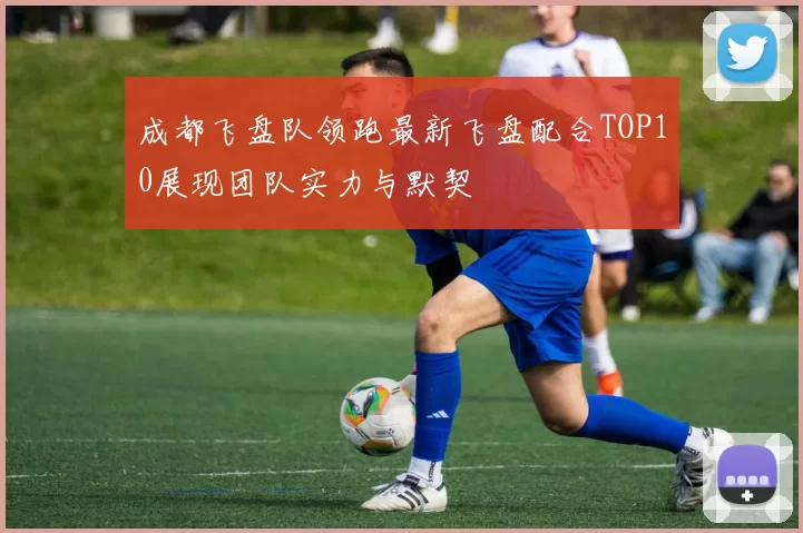 成都飞盘队领跑最新飞盘配合TOP10展现团队实力与默契