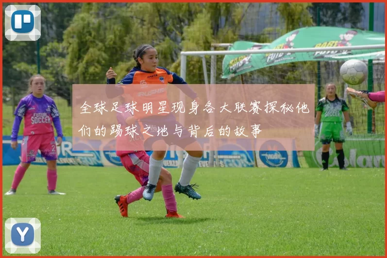 全球足球明星现身各大联赛探秘他们的踢球之地与背后的故事
