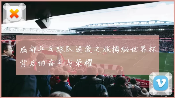成都乒乓球队逆袭之旅揭秘世界杯背后的奋斗与荣耀